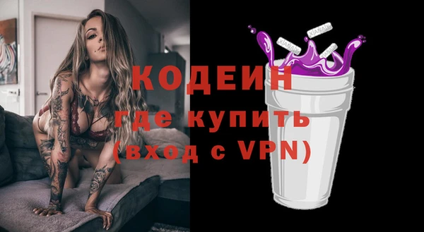 бошки Инта