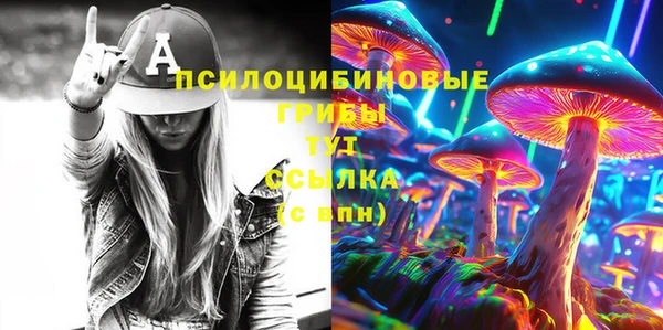 бошки Инта