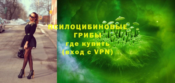 СК Инсар