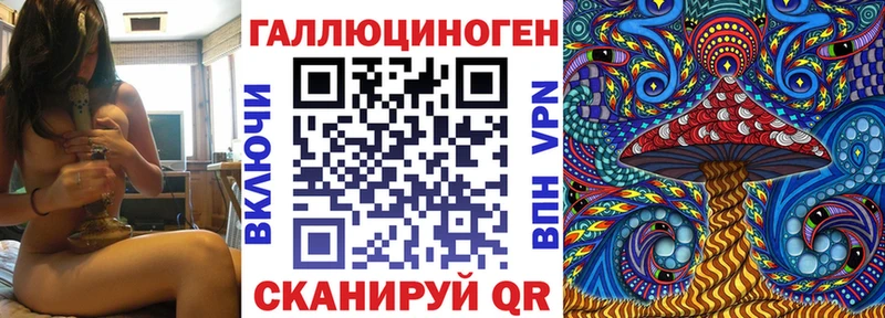 Галлюциногенные грибы MAGIC MUSHROOMS  Купить где  Петропавловск-Камчатский 